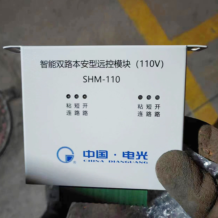 电光电光SHM-110智能双路本安型远控模块(110V)-1.jpg